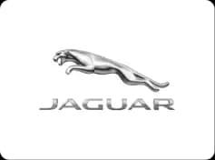 Jaguar engine repair - Vogue Fix My Motor Grays Essex
